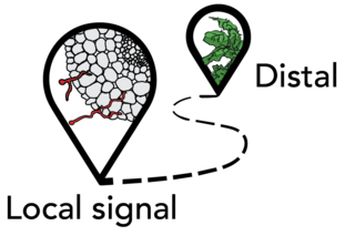 response